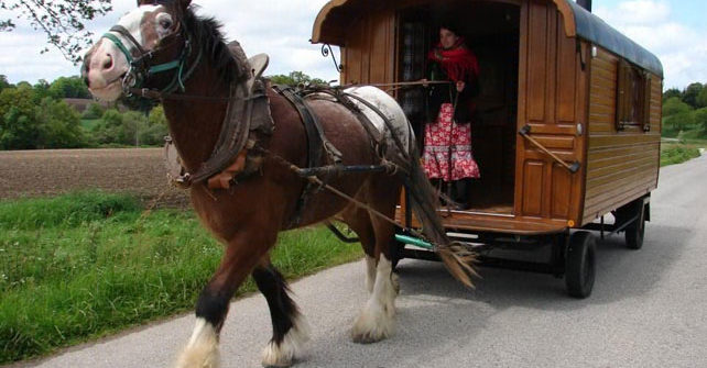 Wagons, Ho!