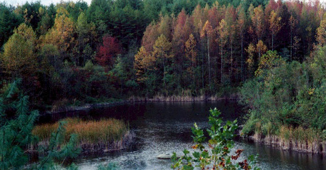 Activity Spotlight – Wayne National Forest