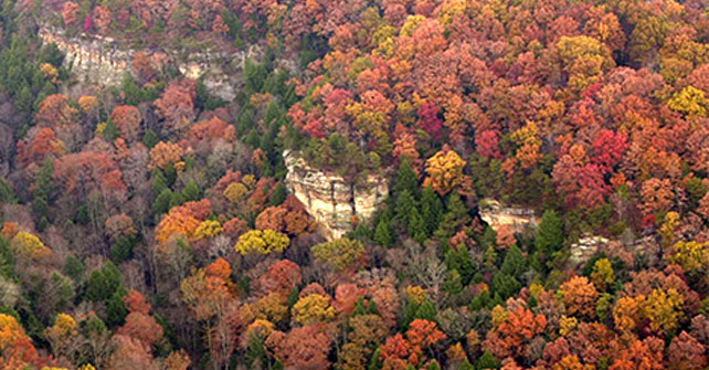 Activity Spotlight – Leaf Peeping